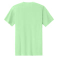 Spearmint - PC43 - BACK