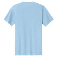 Ice Blue - PC43 - BACK